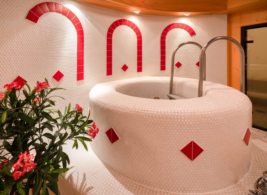 Tröpolacherhof Wellnessbereich Tauchbecken