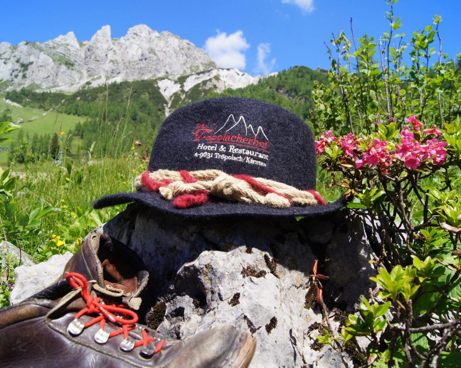 troepolacherhof-region-nassfeld-sommer-5